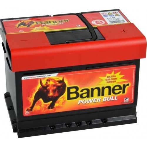 BANNER P-6009
